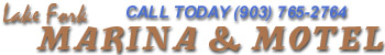 LFM Banner.jpg (15833 bytes)