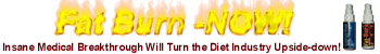 fatburnbanner.jpg (14617 bytes)