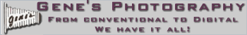 genes.gif (7547 bytes)